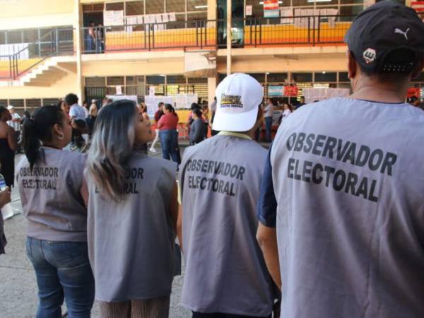 Más de 33,000 observadores nacionales se desplegarán para realizar veeduría durante las elecciones generales de 2025.