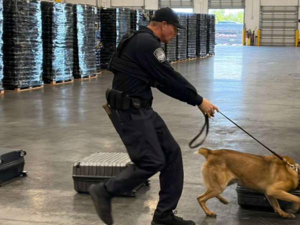 Con perros, tecnología y análisis de datos buscan detectar el ingreso de droga y armas en terminales áreas y marítimas.