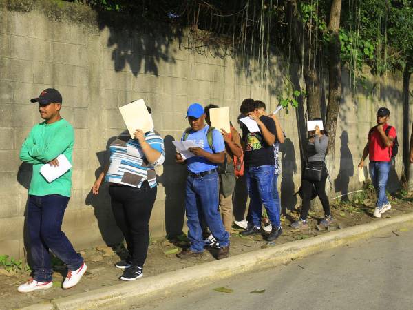 Según cifras oficiales, las mujeres enfrentan mayores dificultades de inserción en el mercado laboral, con una tasa de desocupación del 6.8%, frente al 3.7% de los hombres.