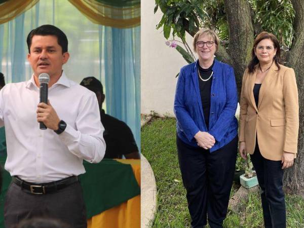 El diputado del partido <b>Libertad y Refundación (Libre)</b>, <b>Fabricio Sandoval</b>, criticó duramente a los precandidatos presidenciales que han sostenido reuniones con la embajadora de Estados Unidos, <b>Laura Dogu</b>, en el contexto de las próximas elecciones primarias.