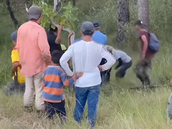 Escena del crimen en Santa Cruz de Yojoa.
