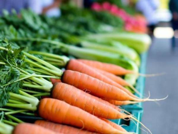 La producción nacional de legumbres y hortalizas tiene como destino los mercados y supermercados donde compite con la importación procedente de Guatemala.