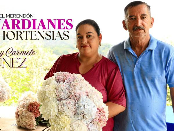 El otro lado de la montaña: los esposos Adela y Carmelo Funez viven tienen el campo de hortensias más grande y conservado de El Gallito, y han abiertos las puertas de su cultivo a los visitantes que se van enamorados de las flores y la montaña.