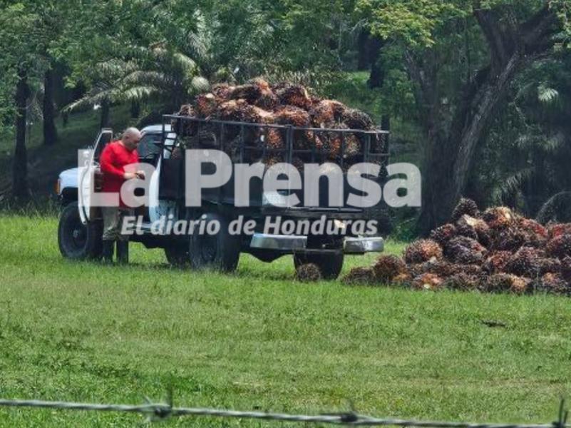Investigan si empleados filtraron información clave para asaltar y matar a comerciante en SPS
