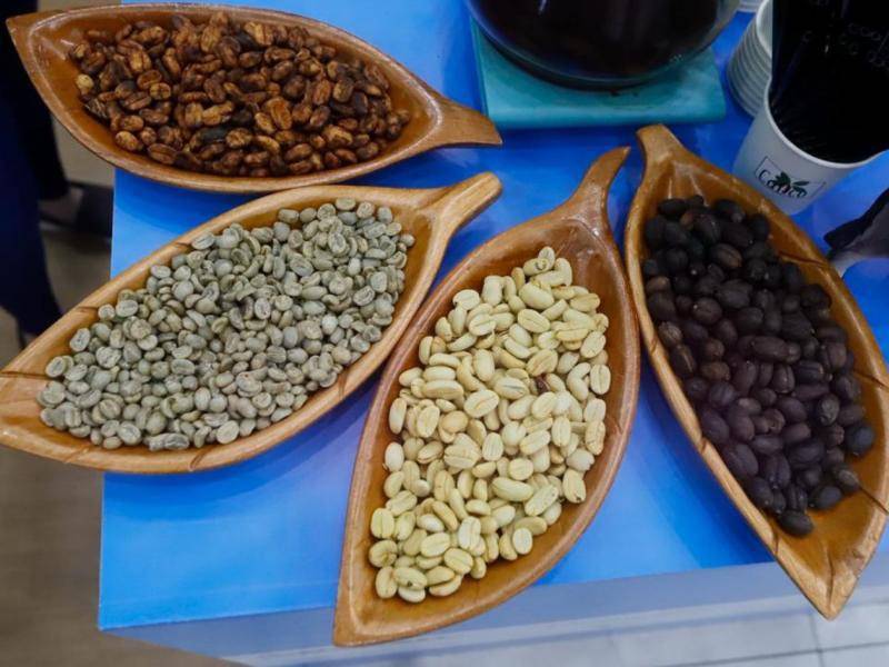 Diversos granos, procesos, y demás fueron explicados en diferentes stands, donde los expertos respondían inquietudes de forma gratuita y cordial.