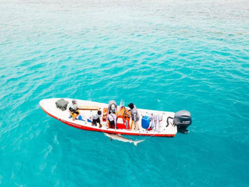 Gabriela participó en The Lowell Lecture Series en marzo del 2025, en el New England Aquarium. Ahí ofreció la conferencia Sharks and Communities: Insights from Honduras and Indonesia. La Lowell Lecture Series es una destacada serie de conferencias públicas gratuitas y programas educativos en el área de Boston, patrocinada por el Lowell Institute desde 1836. Estas charlas abarcan diversos temas —científicos, culturales e históricos—, con el objetivo de fomentar la educación y el conocimiento para todos los ciudadanos sin distinción.