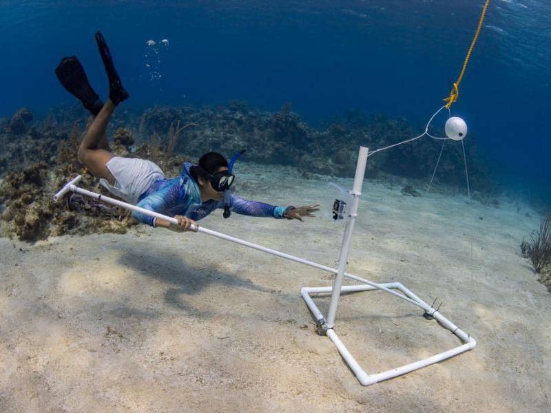 Publicó un libro educativo en español y miskito llamado Guardianes del mar: Descubriendo tiburones y rayas, el cual presentó en la primera feria marina en Brus Laguna.