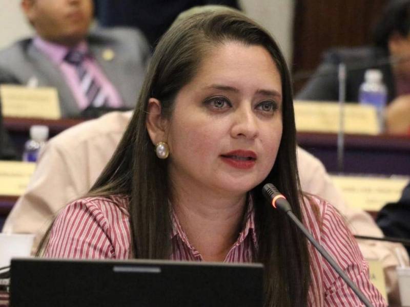 La comisión permanente se instaló por Luis Redondo el 1 de noviembre de 2025. Scherly Arriaga en una sesión legislativa.