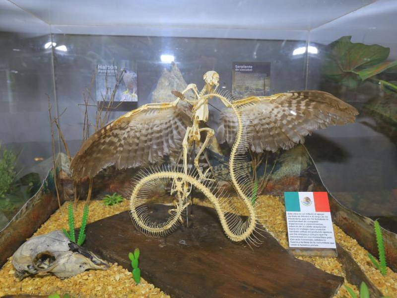 Para más información detallada puede contactarse a los números de Origen 95456633 y 88782460.