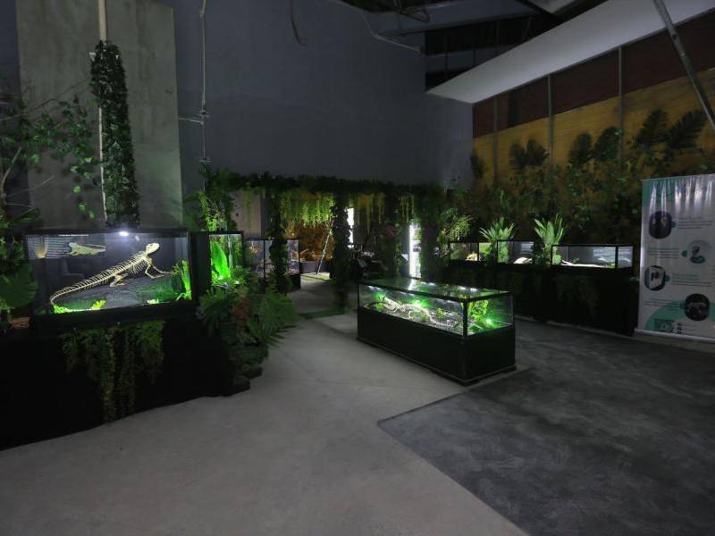 Chávez no solo ha creado el museo, las piezas exhibidas (órganos y huesos reales), sino que también se ha encargado de la iluminación, ebanistería, soldadura, decoración y demás detalles en su museo.