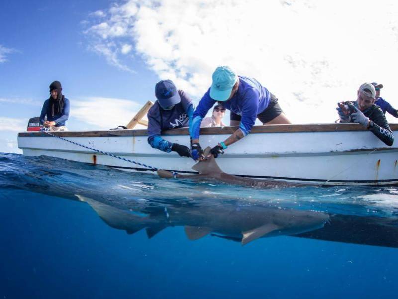 Gabriela tiene 35 años de edad. Nació en Tegucigalpa, Francisco Morazán.