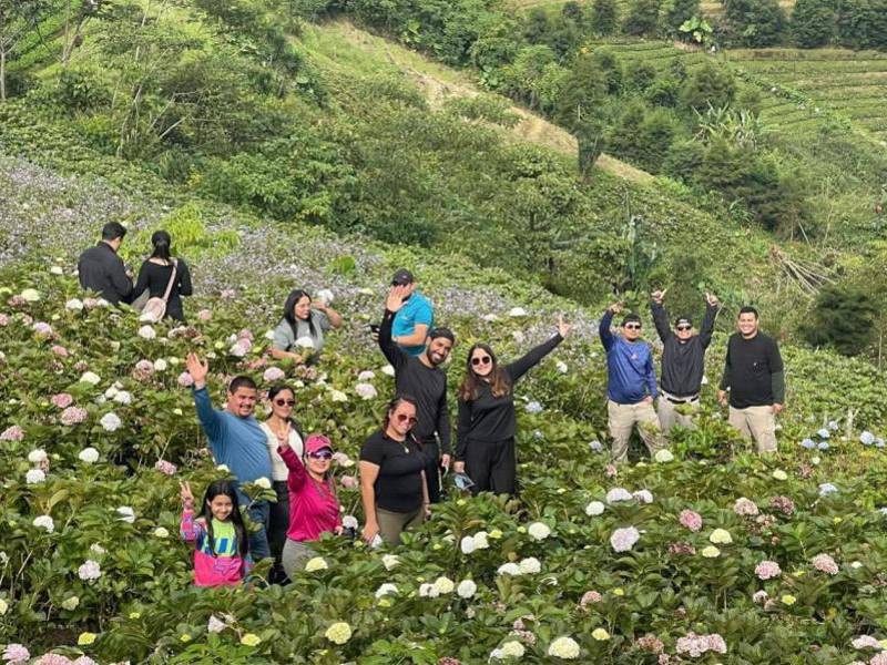 Diversión sobre ruedas en Honduras: opciones de entretenimiento