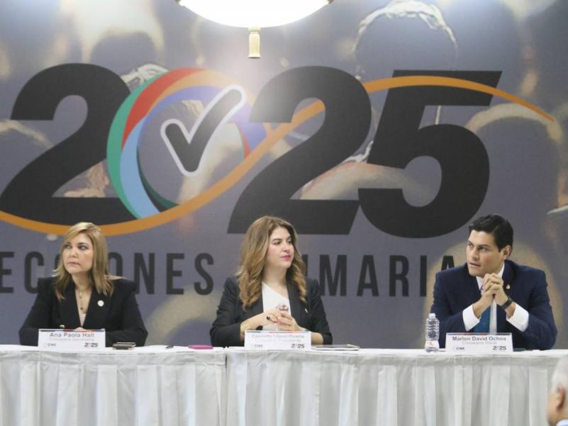 Partidos políticos entregan planillas al CNE para inscripción de corrientes