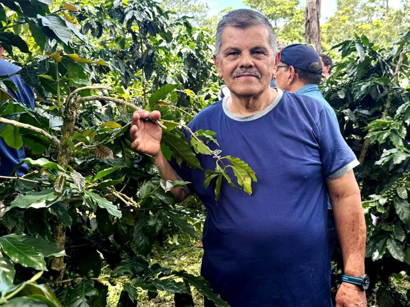 Con el establecimiento de los quioscos en los siete departamentos de la zona centro-occidente del país se busca mejorar las condiciones de vida de hombres y mujeres que se dedican a la actividad de producción de café.