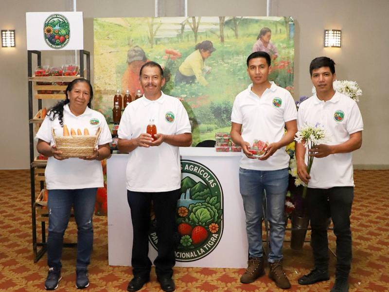 Comprar y apoyar el talento nacional ahora será más sencillo.