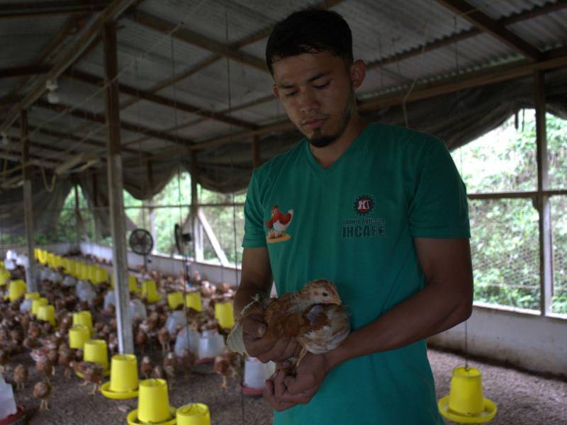 El centro también ofrece a la venta huevos de gallina india como parte de su estrategia de diversificación.
