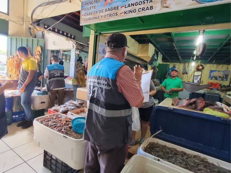 Las instituciones públicas han habilitado líneas de emergencia y denuncia para que la ciudadanía pueda informar sobre abusos en el transporte público, irregularidades en los precios de servicios y productos de consumo, así como reportar emergencias y recibir auxilio con prontitud.