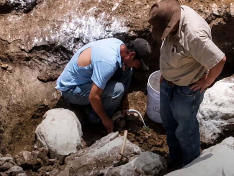 Los restos fósiles de un perezoso gigante encontrados en San Esteban, Olancho, serán analizados por especialistas para conocer más sobre la fauna prehistórica de Honduras.