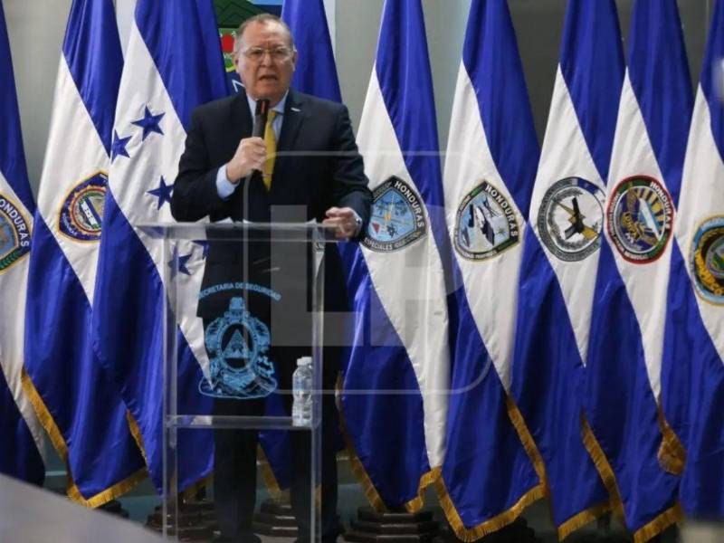 Gerzon Velásquez, ministro de Seguridad.