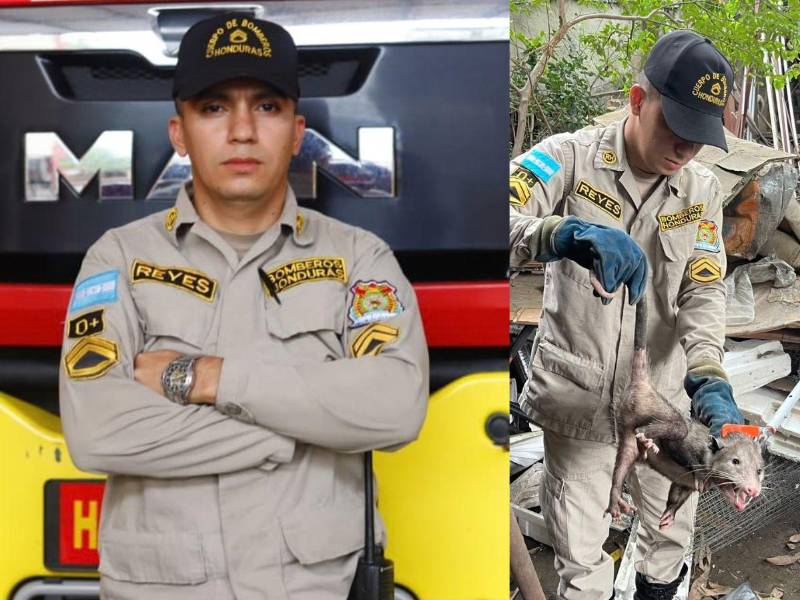 Perros, gatos, serpientes y tacuacines forman parte de los rescates que atiende junto a sus compañeros, mientras promueve entre los niños el respeto por la vida y la preparación ante emergencias.