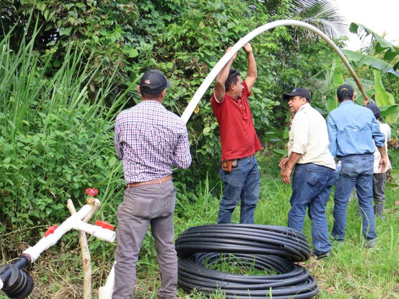 Algunos de los productores en labores de instalación del sistema de riego en cuatro fincas.