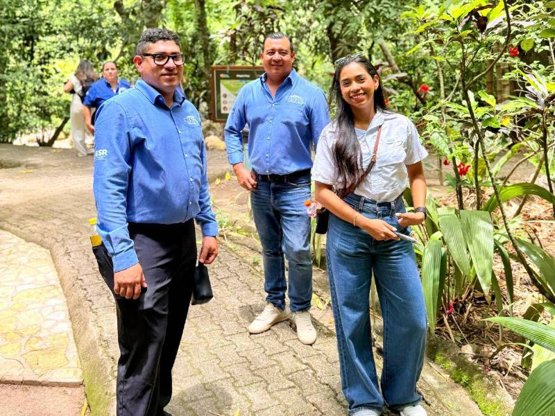 Supermercados Colonial y Pro-Alas unen fuerzas para proteger a la Guacamaya Roja y la biodiversidad de Honduras