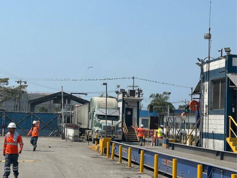 El ingreso diario de cientos de rastras y vehículos de carga a Puerto Cortés hace cada vez más urgente la ejecución de soluciones viales que acompañen la expansión de la infraestructura portuaria.
