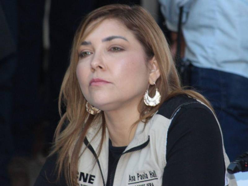 La consejera presidenta del CNE, Ana Paola Hall.