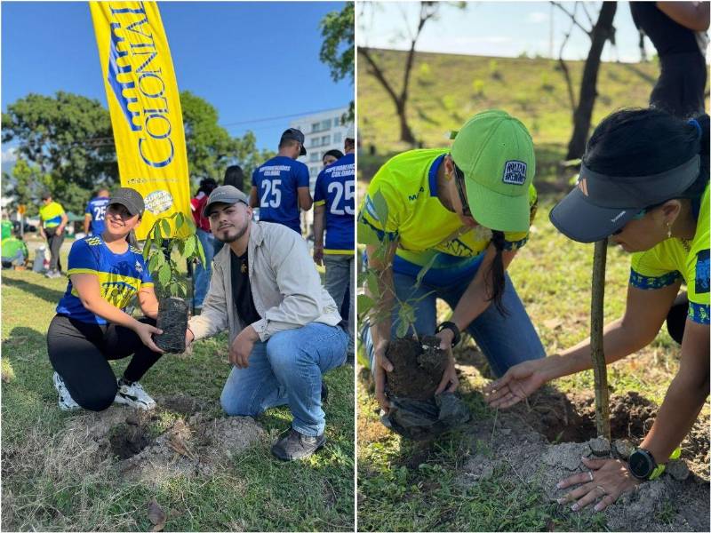 Supermercados Colonial y Alcaldía SPS impulsan histórica reforestación con macuelizos