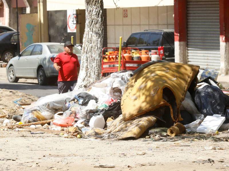 La municipalidad apenas ha aplicado 15 multas a personas que han encontrado en flagrancia tirando basura en las calles y avenidas.