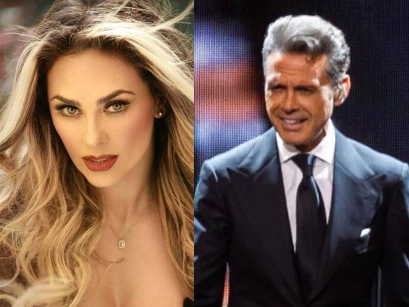 Aracely Arámbula reveló detalles hasta ahora inéditos del romance que tuvo con Luis Miguel, el cual comenzó en 2005. Esa relación duró varios años y, fruto de ese amor, nacieron sus hijos Miguel y Daniel.