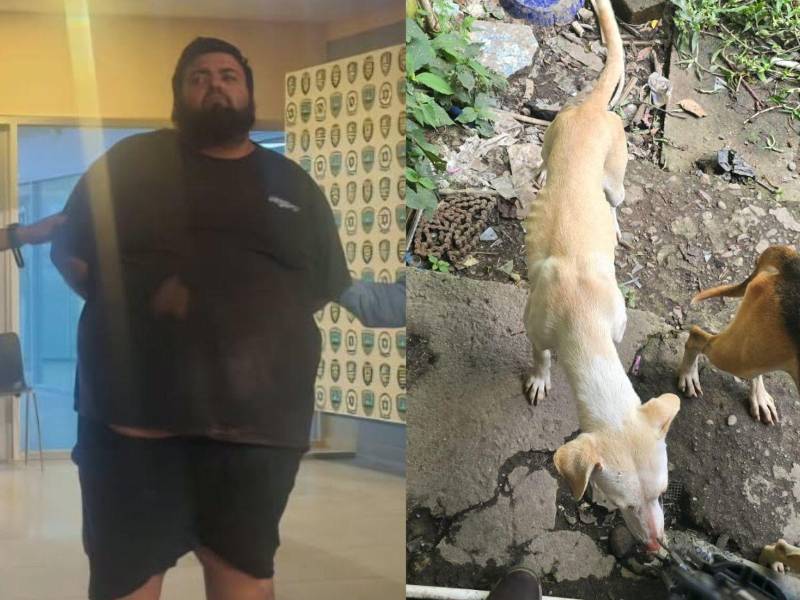 La Policía Nacional informó que un hombre de 31 años fue detenido durante un allanamiento de morada en el barrio Zaragoza de esa ciudad. Al sospechoso se le supone responsable del delito de maltrato animal.