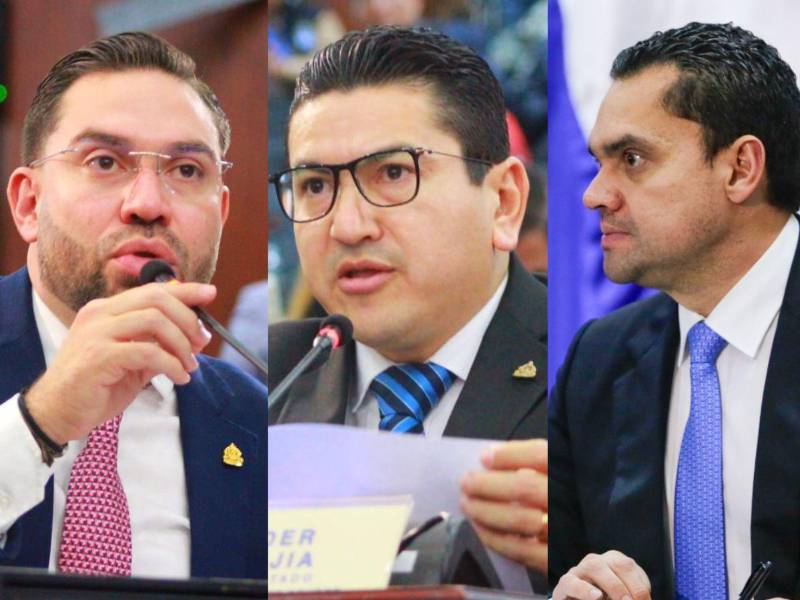 El diputado Jorge Cálix, del Partido Liberal; el diputado Eder Leonel Mejía, del Partido Nacional; y Tomás Zambrano, presidente del Congreso Nacional.