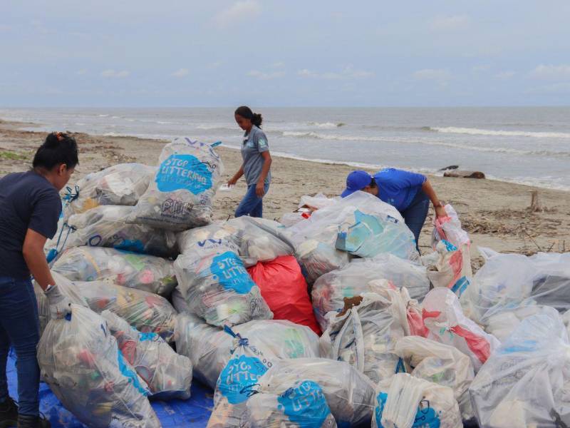 Playa Buena Vista recibe limpieza masiva con apoyo juvenil