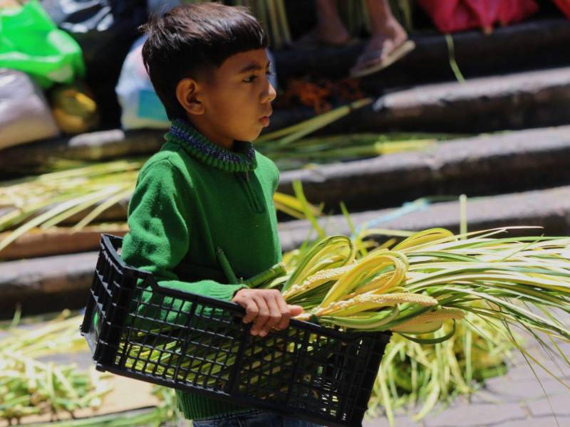 Un niño ofrece ramos de olivo en una calle cercana a la catedral.