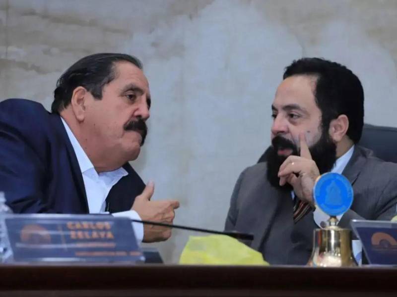 En el caso de las defensas, se aceptaron 33 pruebas documentales y cuatro testigos. Entre ellos figuran Carlos Zelaya y Luis Redondo.