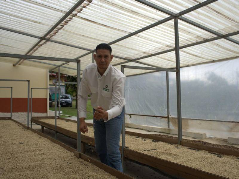 El CIC-JAP dispone de beneficios óptimos para el secado en sombra de la semilla de café, garantizando calidad y conservación.