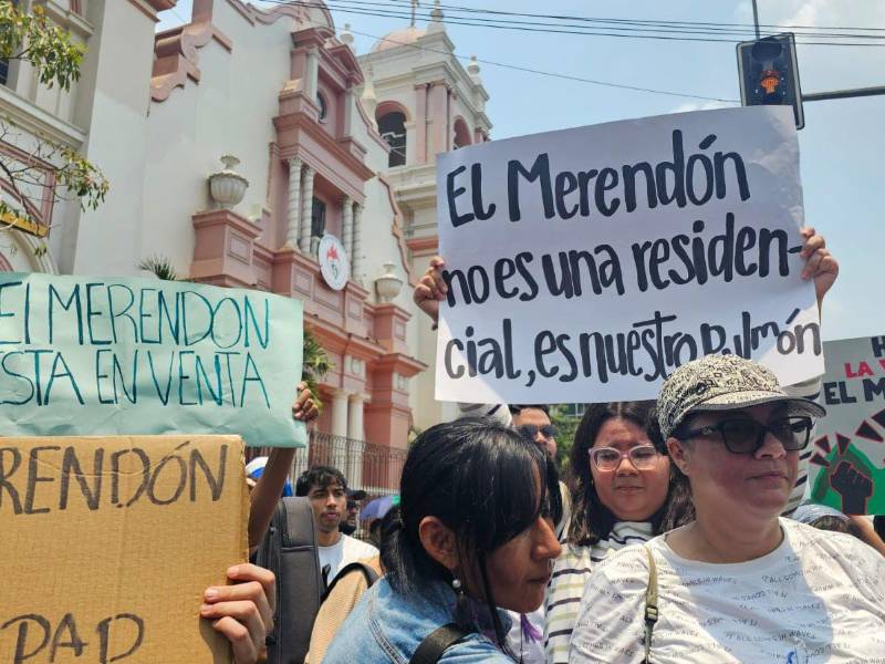 La protesta a favor de la montaña en el parque central y luego se desplazaron frente a la catedral Metropolitana.