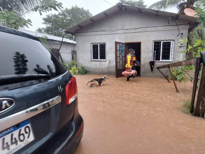 Las familias afectadas fueron socorridas por elementos del Cuerpo de Bomberos.