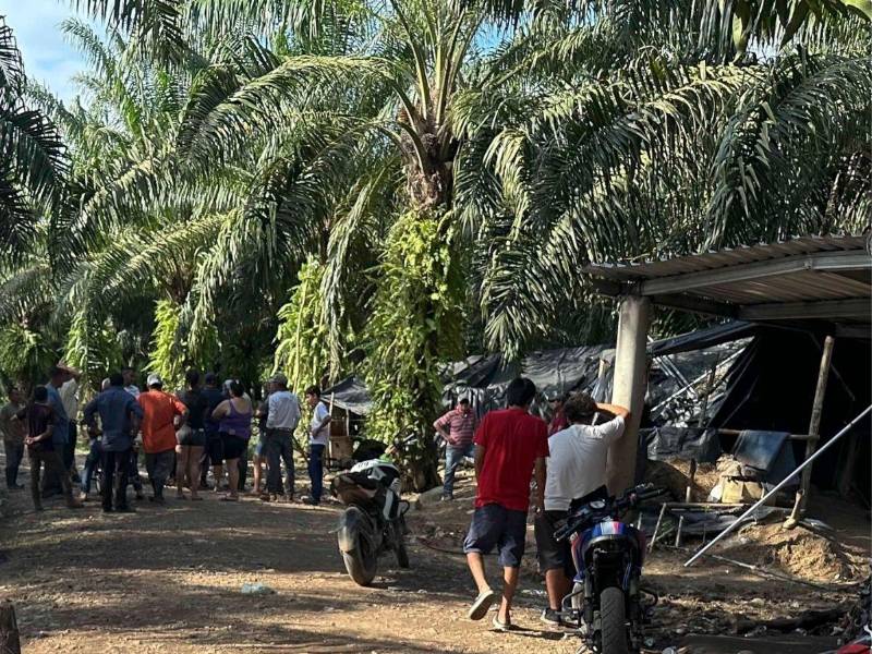 De acuerdo con datos oficiales, 84,056 manzanas de tierra permanecen invadidas en Honduras, distribuidas en ocho departamentos y 31 municipios.