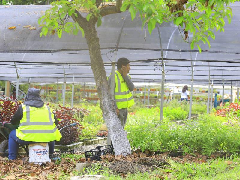 El vivero que fue renombrado está ubicado en el bulevar Mario Catarino Rivas y llevaba por nombre Santa Ana.