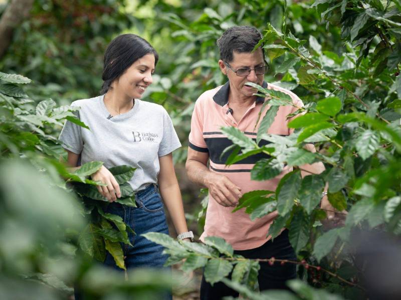 Junto a su padre, Belkis recorre las fincas de café.