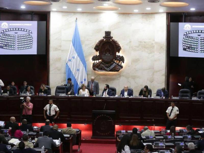El Congreso Nacional enfoca sus valoraciones en la posibilidad de clasificar legalmente a estas bandas armadas bajo la tipificación de organizaciones terroristas.