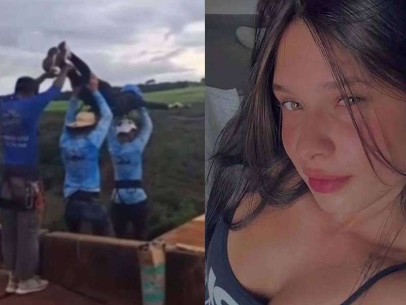 La muerte de María Eduarda Rodrigues de Freitas, de 21 años, durante una actividad de bungee jumping en el estado de São Paulo, Brasil, ha generado conmoción internacional y abrió una investigación penal por posible negligencia en un evento de turismo de aventura.