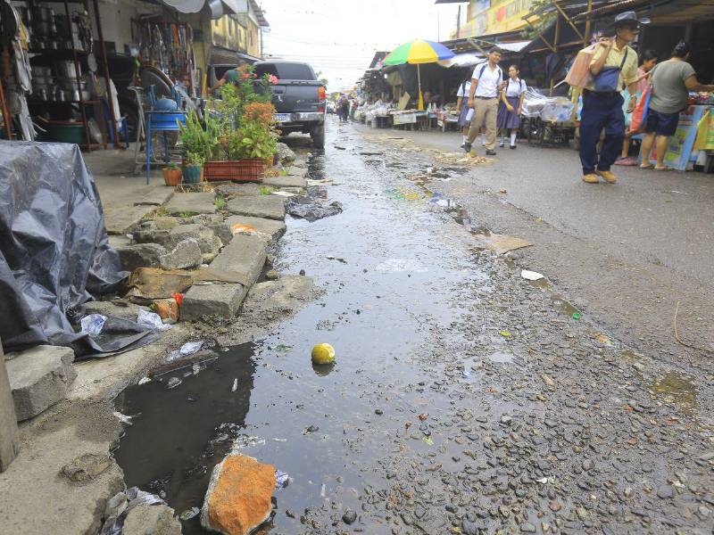 La insalubridad está a la orden del día y el pésimo estado de las calles denuncian los vendedores en las zonas de comercio.
