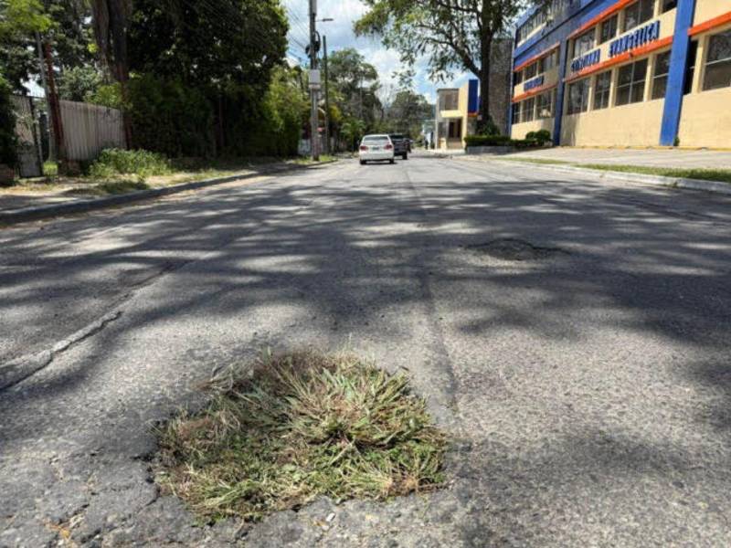 En algunos baches los conductores han colocado grama y tierra para tapar los agujeros.