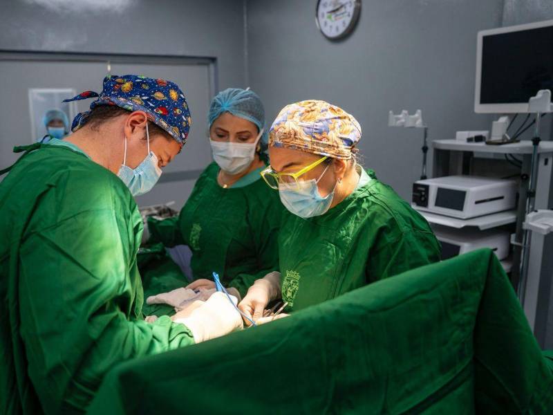 Los tres pacientes, dos hombres y una mujer, fueron dados de alta poco después de las cirugías.