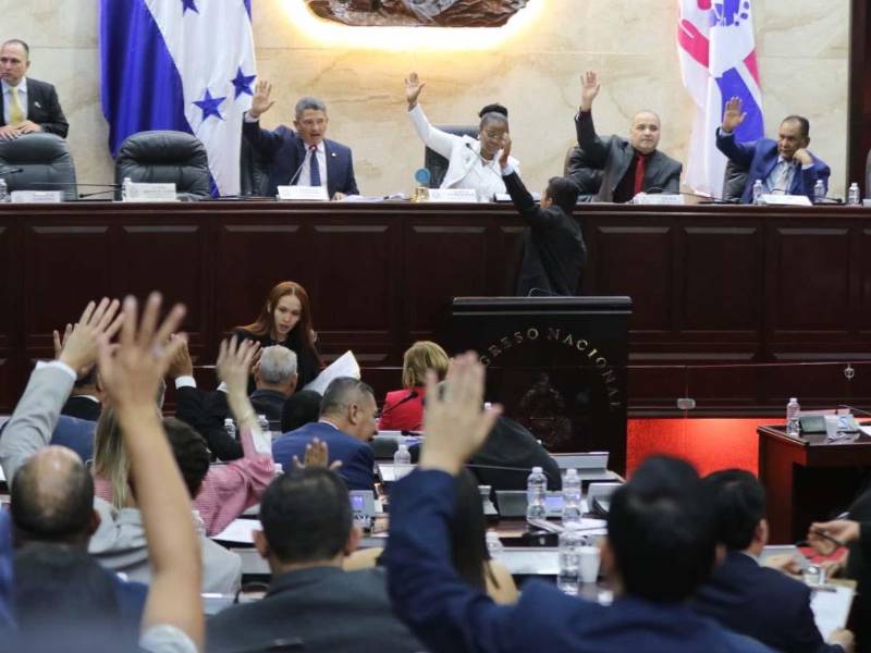 El pleno del Congreso Nacional aprobó dos contratos de préstamo por 225 millones de dólares destinados a fortalecer las finanzas públicas y respaldar el Presupuesto General de la República.