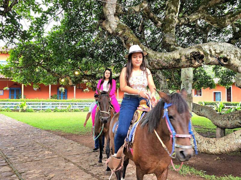 Santa Rosa tendrá la primera gran feria ganadera Montecristo en agosto