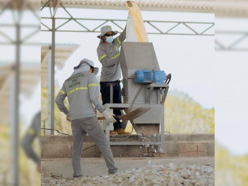 Este nuevo centro permitirá ampliar la capacidad de recolección y aprovechamiento del vidrio, optimizando su valorización e impulsando un modelo intermunicipal.